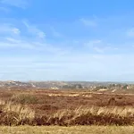 Lejlighed Lieblingsplatz Am 2 Auf Sylt
